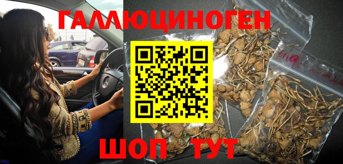 Галлюциногенные грибы Magic Shrooms Губаха