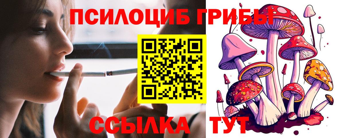 Галлюциногенные грибы Cubensis  Вход с VPN  Губаха 