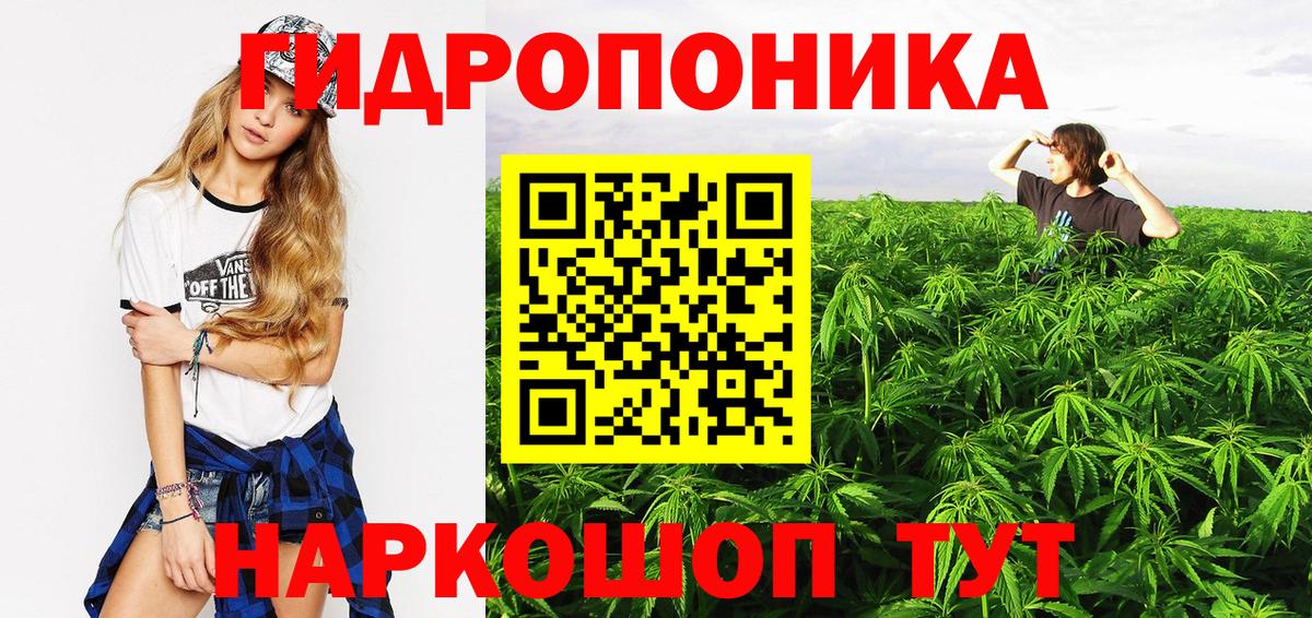Бошки Шишки индика  Бошки Шишки Bruce Banner  Губаха  Бошки марихуана White Widow  Бошки Шишки White Widow  Вход с VPN 